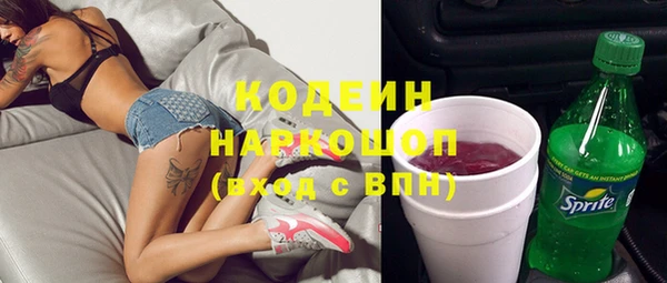 гашик Гусь-Хрустальный