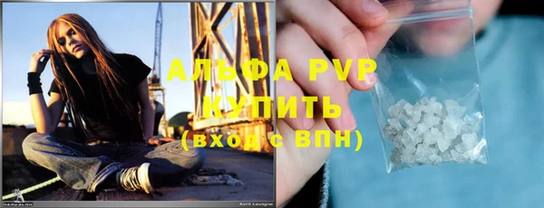 сатива Гусиноозёрск