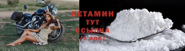 гашик Гусь-Хрустальный