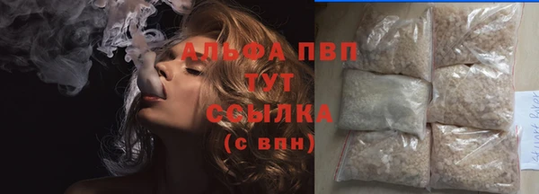 гашик Гусь-Хрустальный