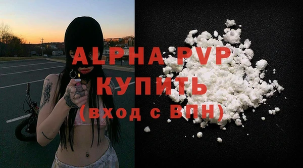 гашик Гусь-Хрустальный