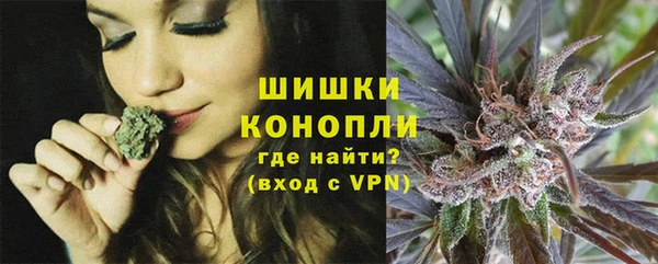 гашик Гусь-Хрустальный