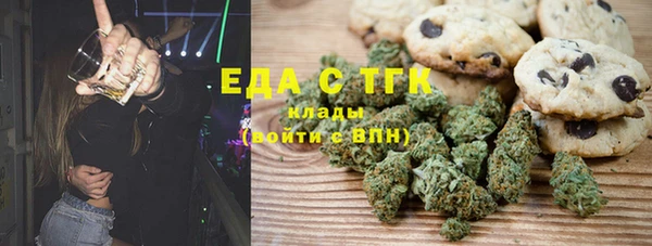 гашик Гусь-Хрустальный