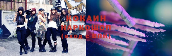 гашик Гусь-Хрустальный