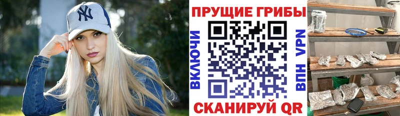 Купить закладки  Оха  Галлюциногенные грибы мухоморы 